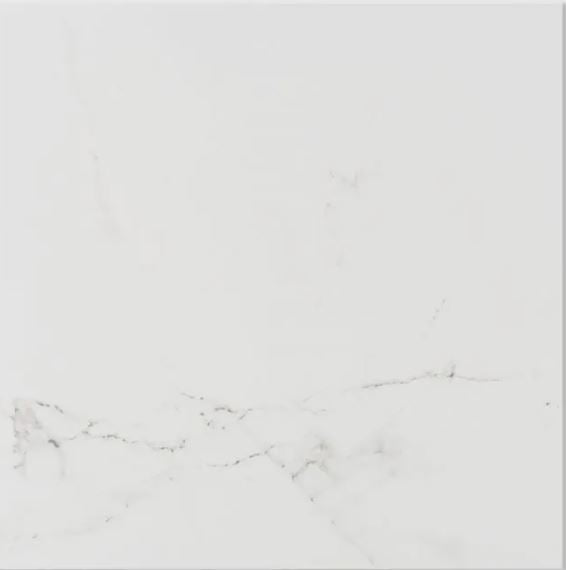 Carrara Blanco Brillo 59.6X59.6